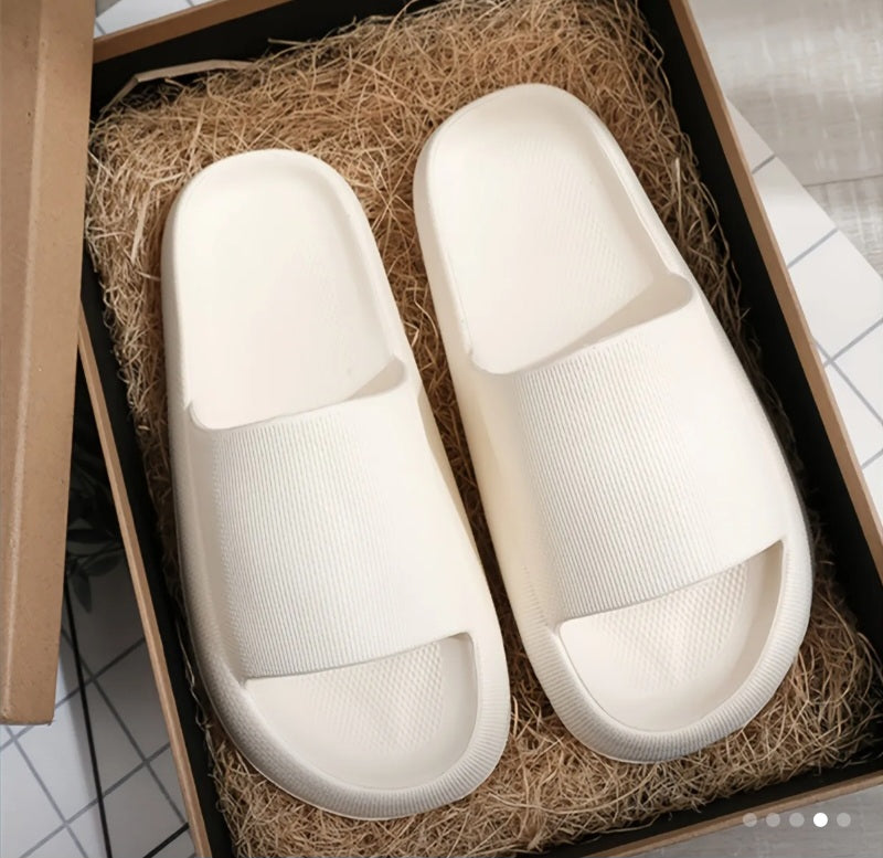 Everyday Thick Slides